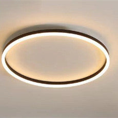 Modern Acrylic LED Ceiling Light